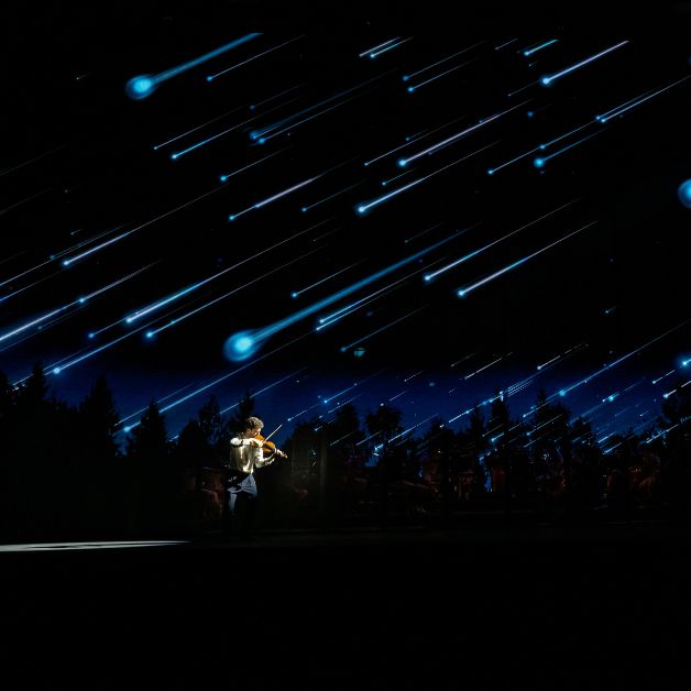 Viva Vivaldi. The Four Seasons Immersive Concert