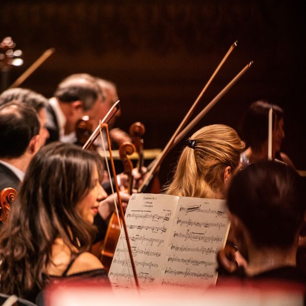 Dal 14 febbraio 2026 Fondazione Arena invita ad "Aspettando Beethoven"