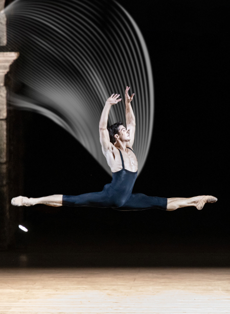 Roberto Bolle and Friends